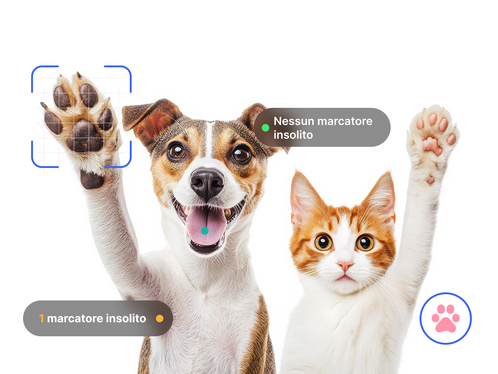 Personalizzato per gli animali domestici e comodo per i tuoi clienti